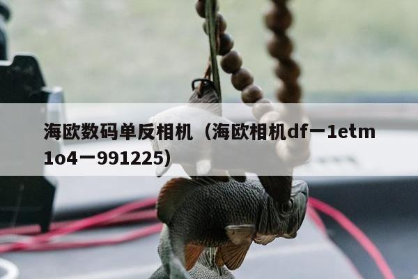 海欧数码单反相机（海欧相机df一1etm1o4一991225）