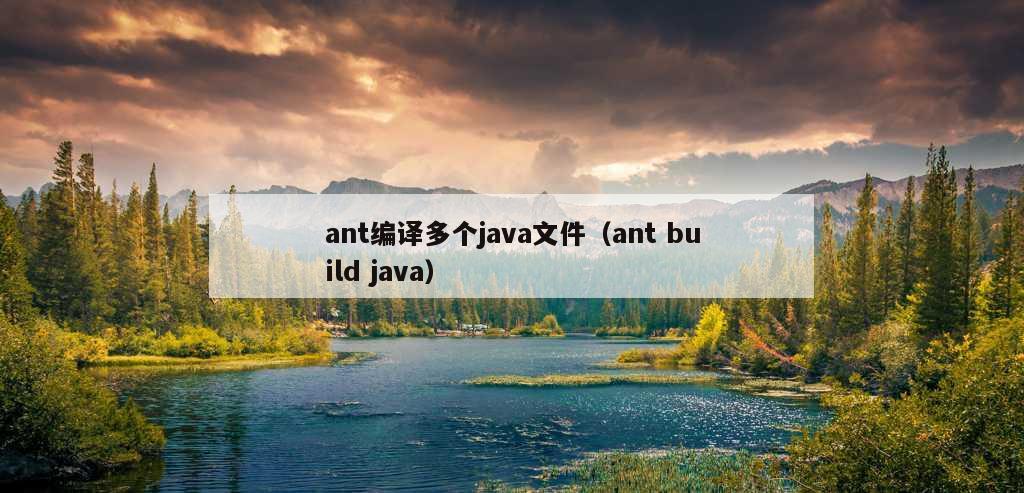 ant编译多个java文件（ant build java）