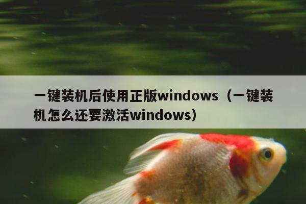 一键装机后使用正版windows（一键装机怎么还要激活windows）