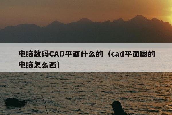 电脑数码CAD平面什么的（cad平面图的电脑怎么画）