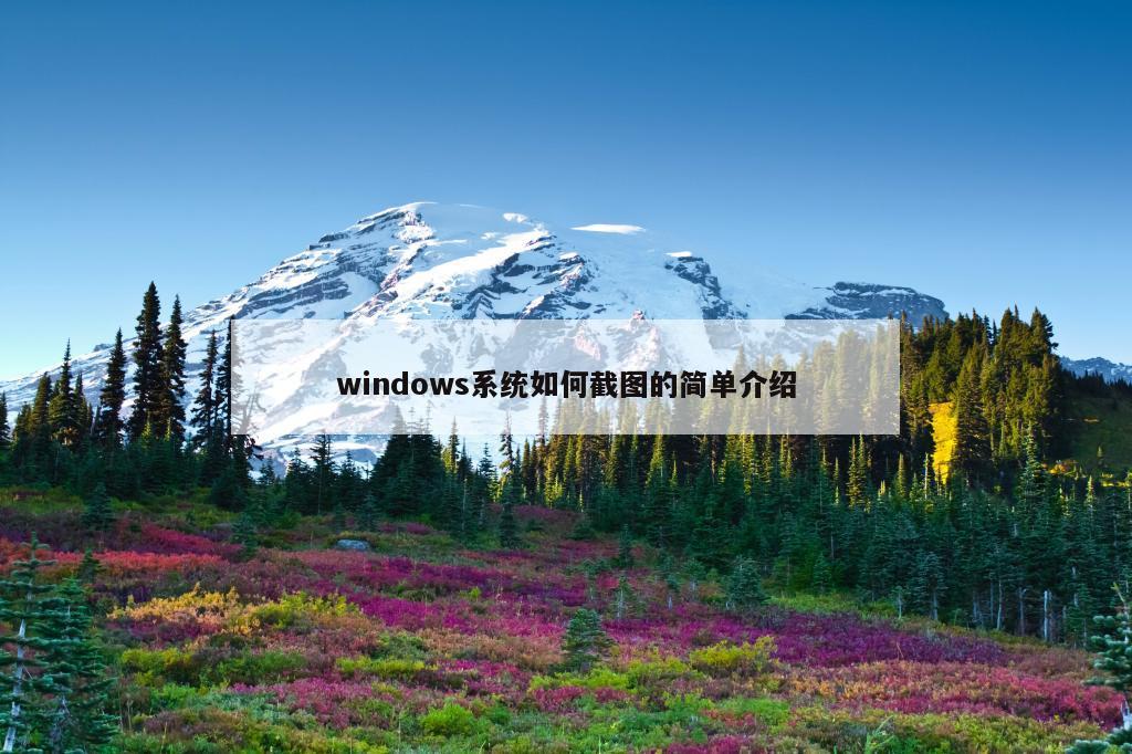 windows系统如何截图的简单介绍