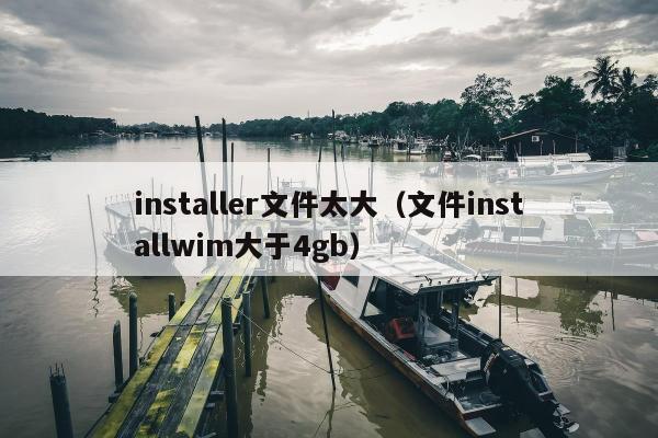 installer文件太大（文件installwim大于4gb）