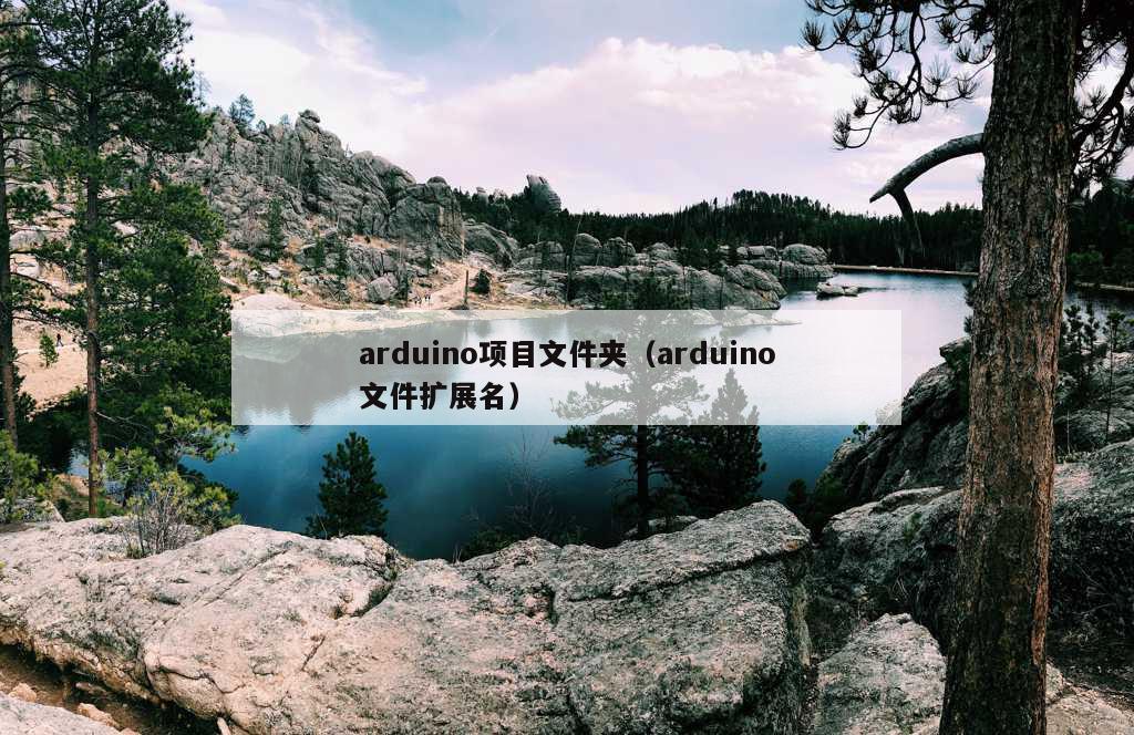 arduino项目文件夹（arduino文件扩展名）