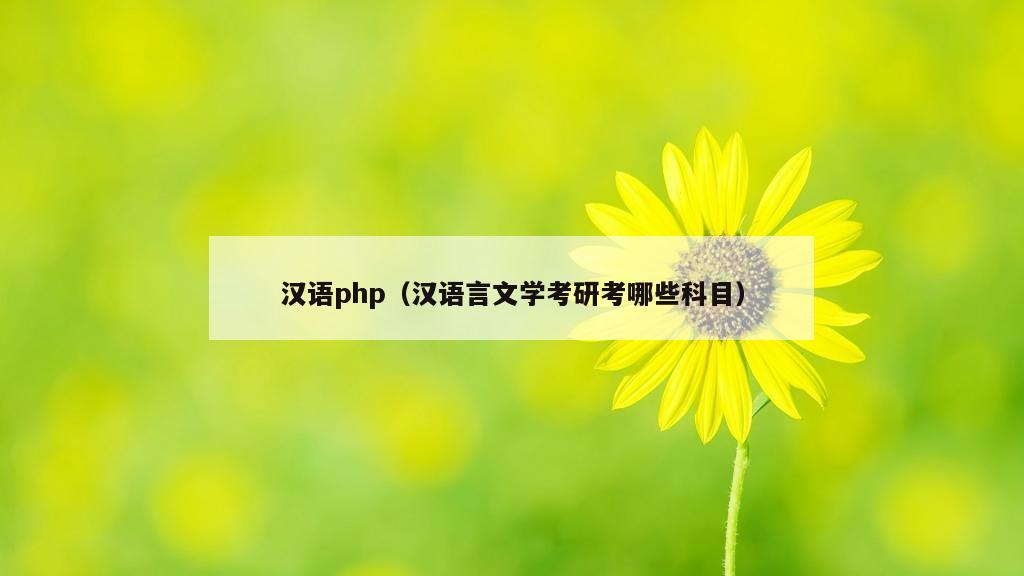 汉语php（汉语言文学考研考哪些科目）