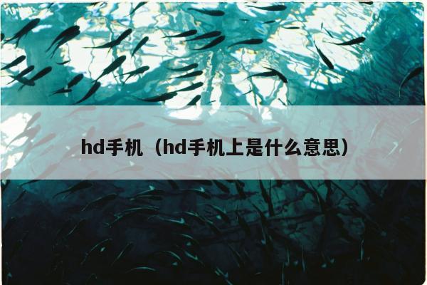 hd手机（hd手机上是什么意思）