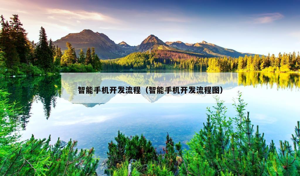 智能手机开发流程（智能手机开发流程图）