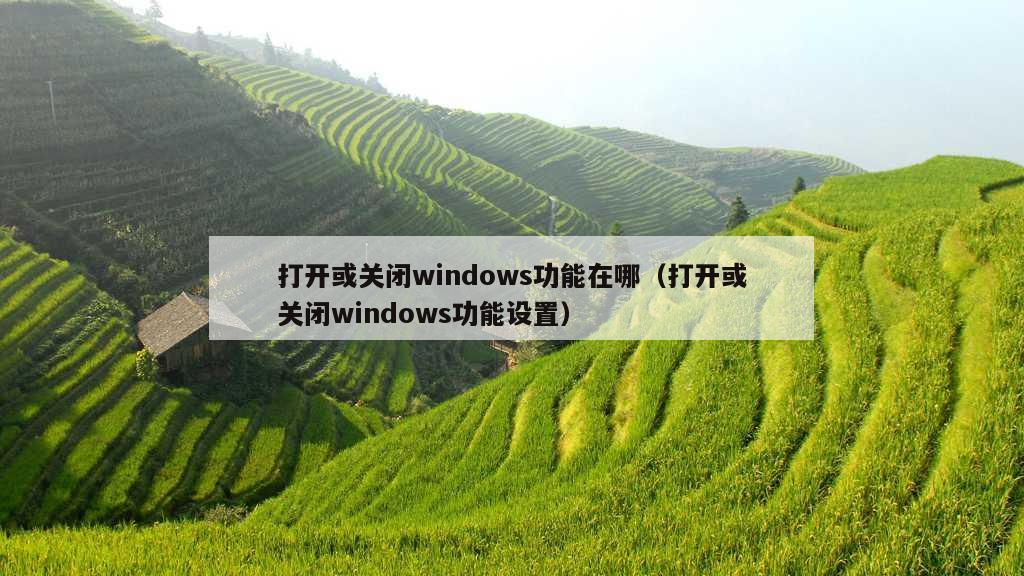 打开或关闭windows功能在哪（打开或关闭windows功能设置）