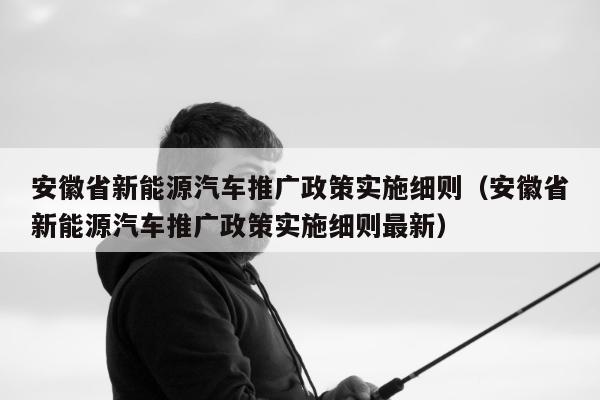 安徽省新能源汽车推广政策实施细则（安徽省新能源汽车推广政策实施细则最新）