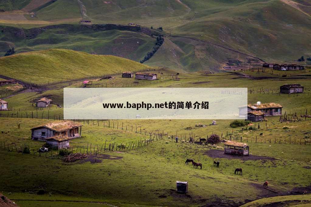 www.baphp.net的简单介绍