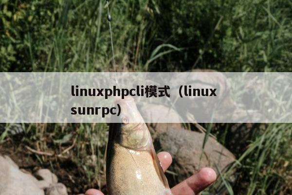 linuxphpcli模式（linux sunrpc）