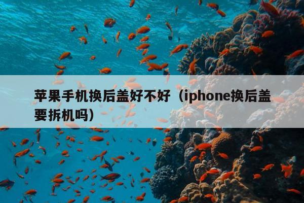 苹果手机换后盖好不好（iphone换后盖要拆机吗）