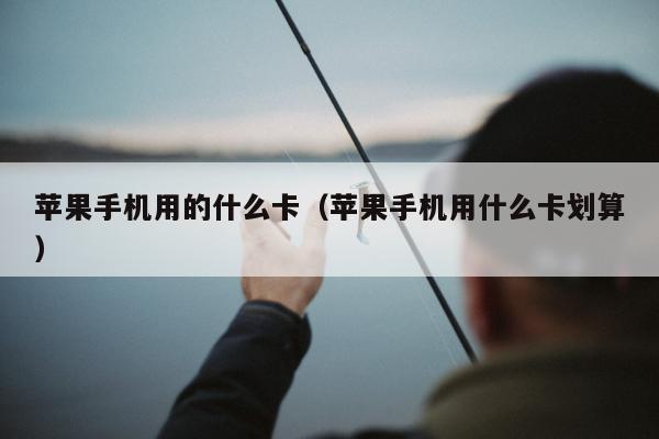 苹果手机用的什么卡（苹果手机用什么卡划算）