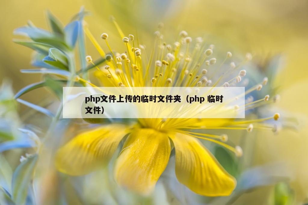 php文件上传的临时文件夹（php 临时文件）