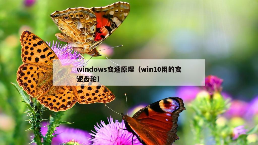 windows变速原理（win10用的变速齿轮）