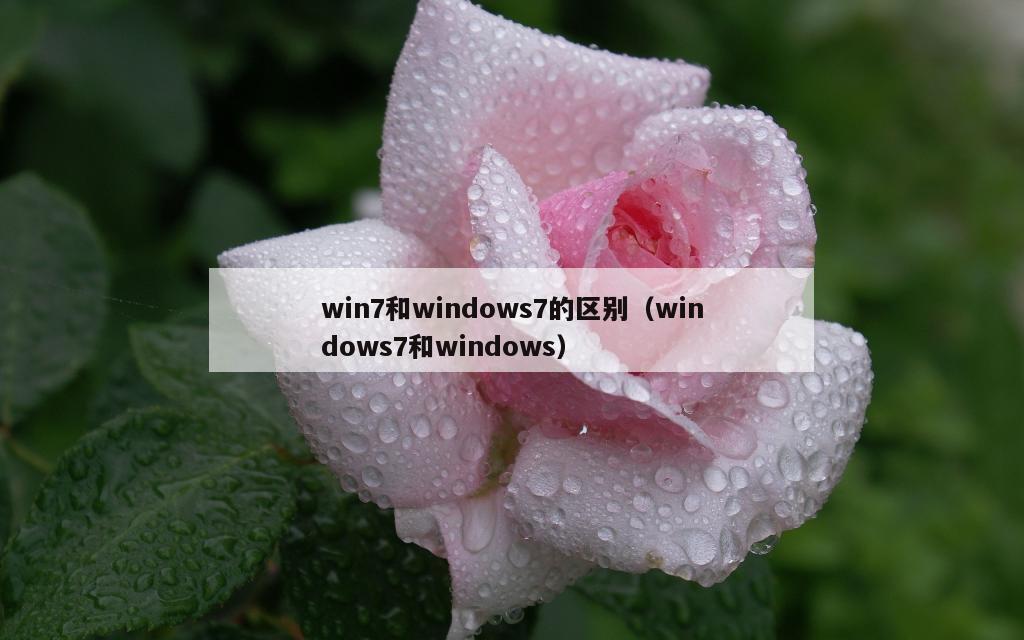 win7和windows7的区别（windows7和windows）