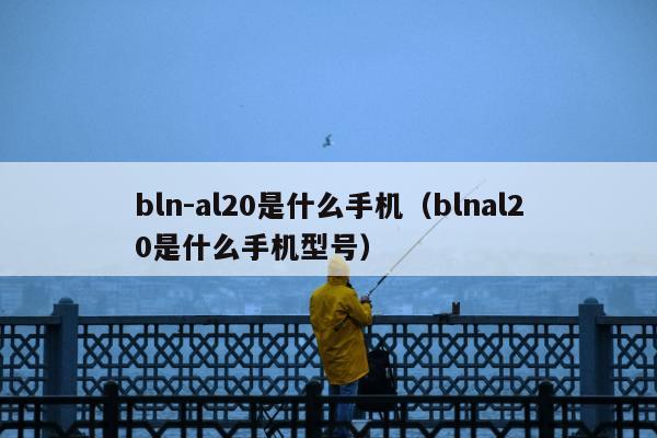 bln-al20是什么手机（blnal20是什么手机型号）