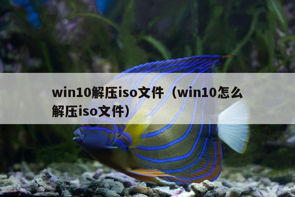 win10解压iso文件（win10怎么解压iso文件）