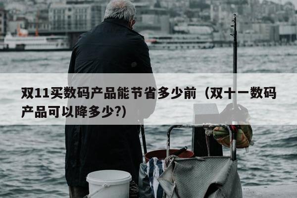 双11买数码产品能节省多少前（双十一数码产品可以降多少?）