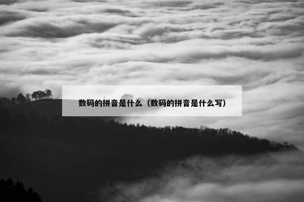 数码的拼音是什么（数码的拼音是什么写）