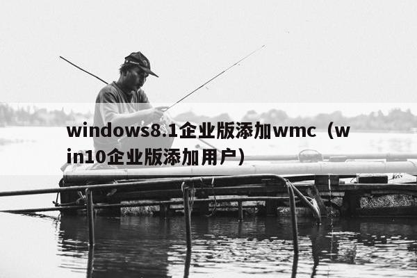 windows8.1企业版添加wmc（win10企业版添加用户）