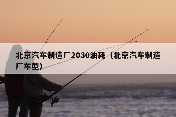 北京汽车制造厂2030油耗（北京汽车制造厂车型）