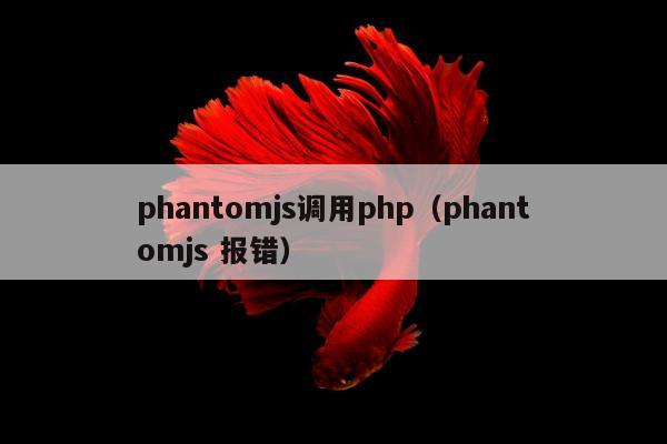 phantomjs调用php（phantomjs 报错）