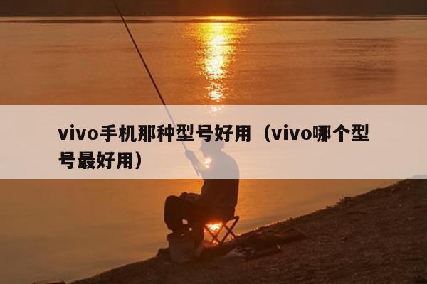 vivo手机那种型号好用（vivo哪个型号最好用）