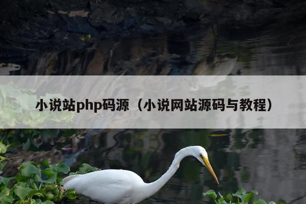 小说站php码源（小说网站源码与教程）