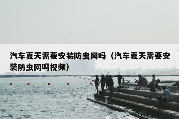 汽车夏天需要安装防虫网吗（汽车夏天需要安装防虫网吗视频）