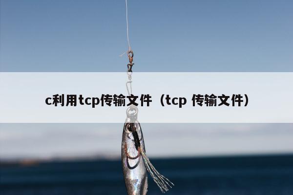 c利用tcp传输文件（tcp 传输文件）