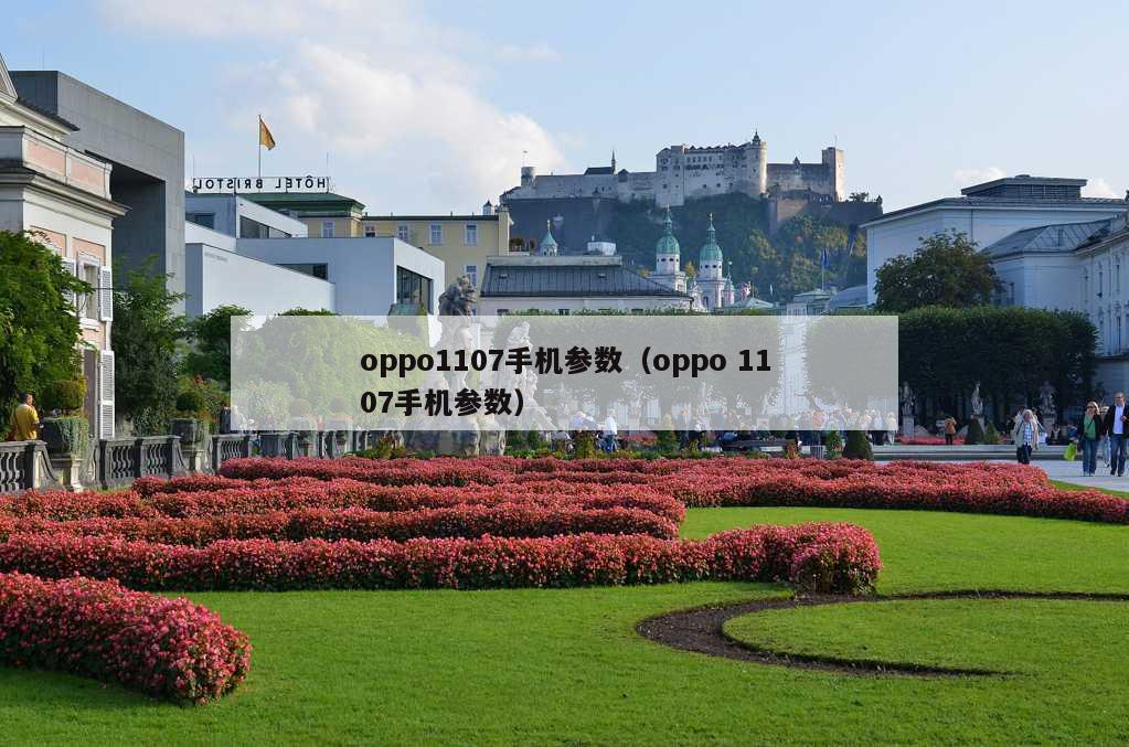 oppo1107手机参数（oppo 1107手机参数）