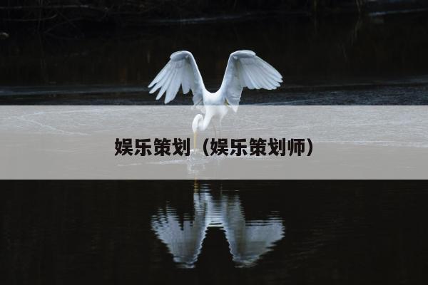 娱乐策划（娱乐策划师）