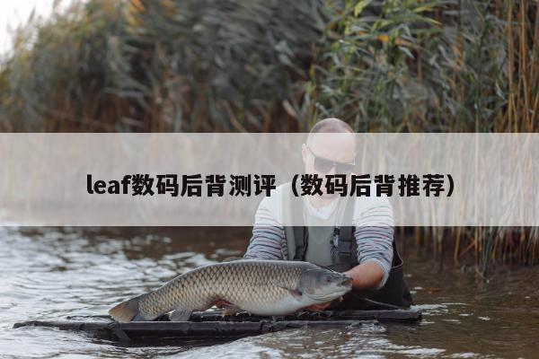 leaf数码后背测评（数码后背推荐）