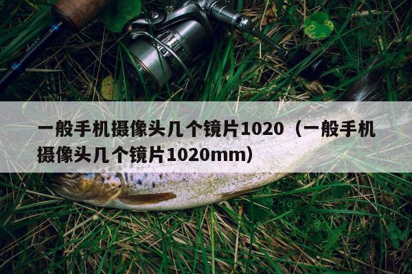 一般手机摄像头几个镜片1020（一般手机摄像头几个镜片1020mm）