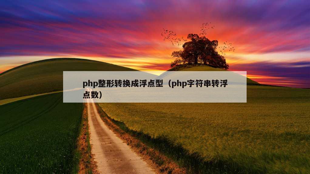 php整形转换成浮点型（php字符串转浮点数）