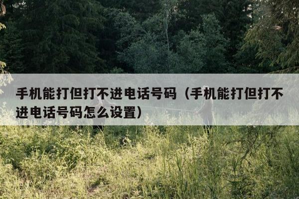 手机能打但打不进电话号码（手机能打但打不进电话号码怎么设置）