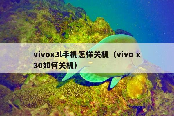 vivox3l手机怎样关机（vivo x30如何关机）