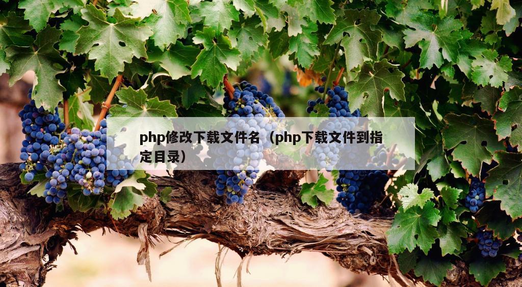 php修改下载文件名（php下载文件到指定目录）