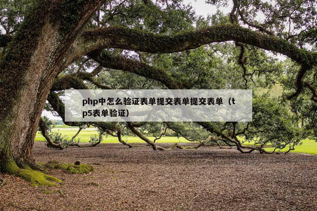 php中怎么验证表单提交表单提交表单（tp5表单验证）