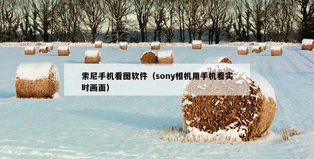 索尼手机看图软件（sony相机用手机看实时画面）