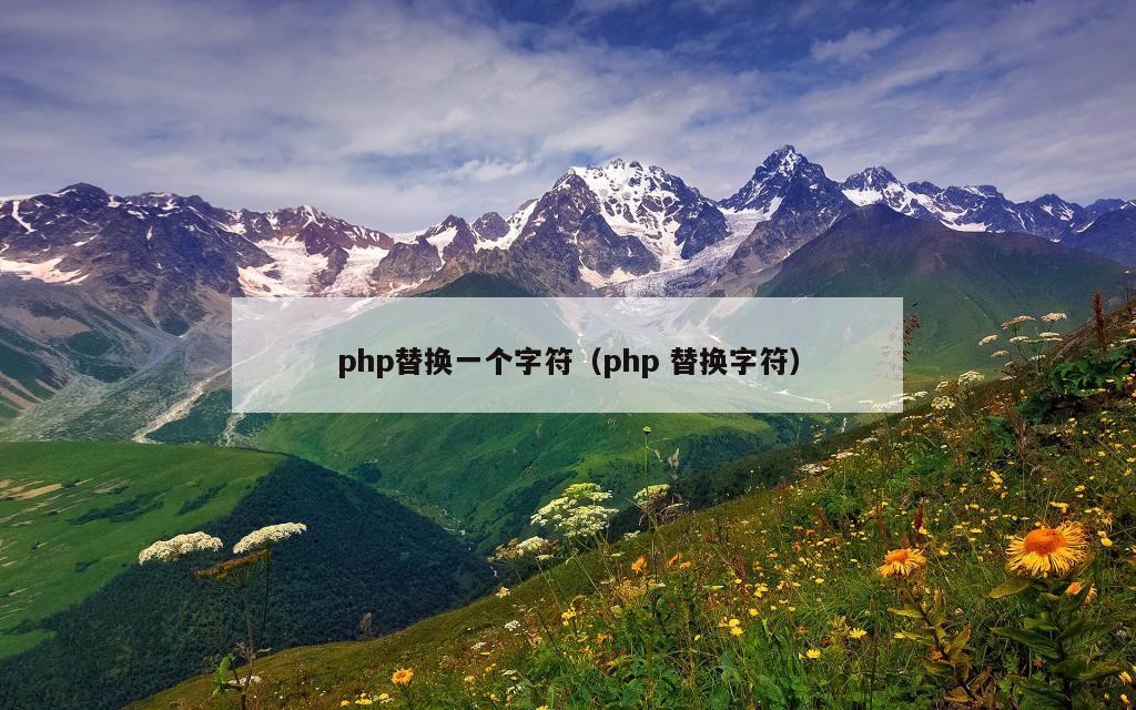 php替换一个字符（php 替换字符）