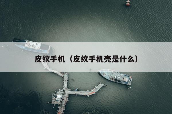 皮纹手机（皮纹手机壳是什么）