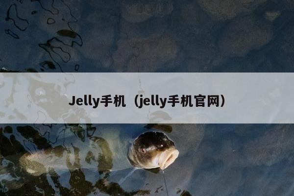 Jelly手机（jelly手机官网）