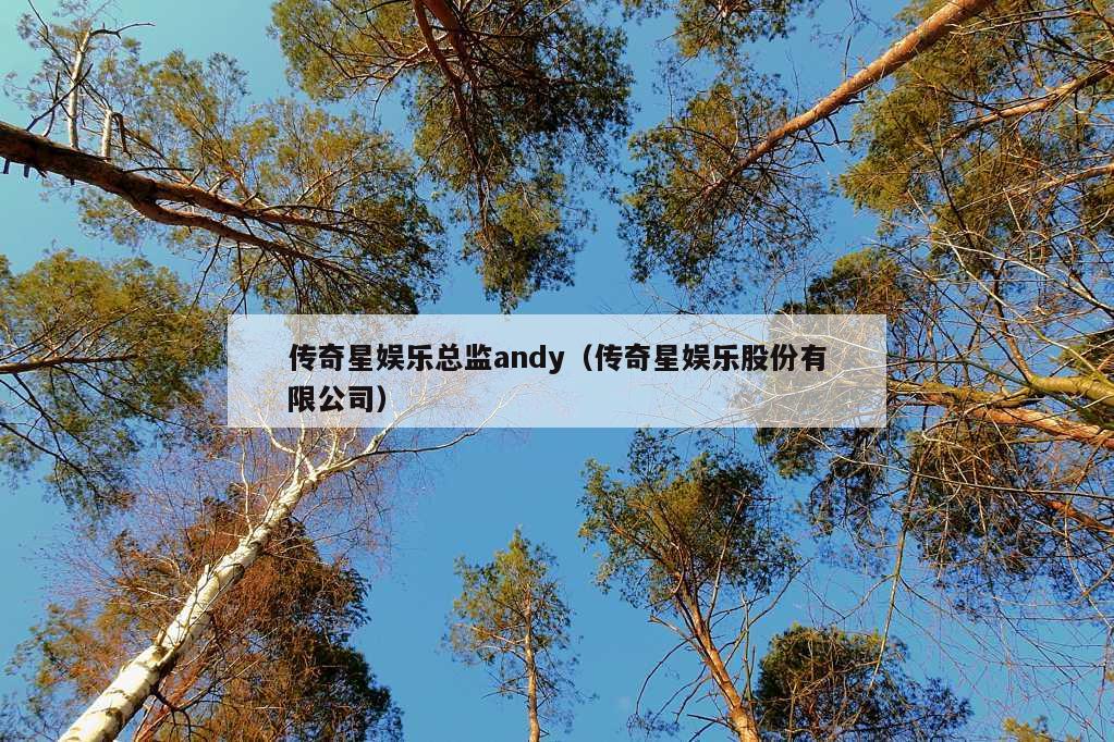 传奇星娱乐总监andy（传奇星娱乐股份有限公司）