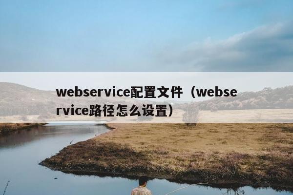 webservice配置文件（webservice路径怎么设置）