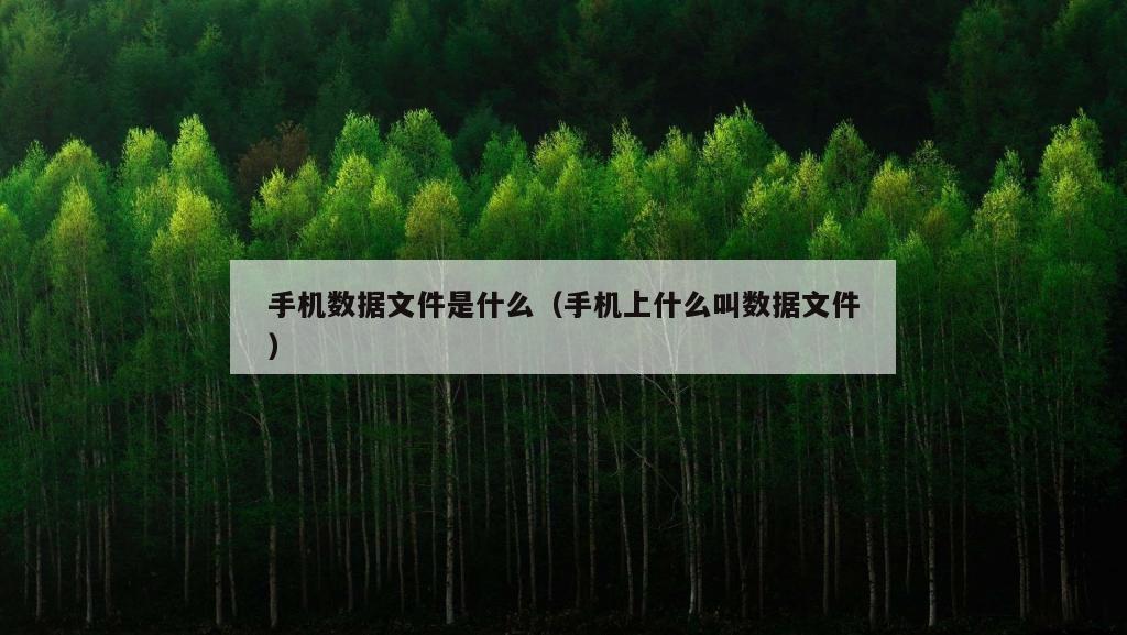 手机数据文件是什么（手机上什么叫数据文件）