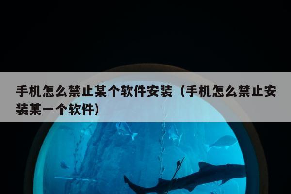 手机怎么禁止某个软件安装（手机怎么禁止安装某一个软件）