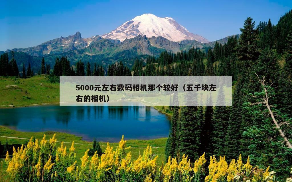 5000元左右数码相机那个较好（五千块左右的相机）