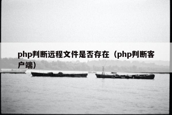 php判断远程文件是否存在（php判断客户端）