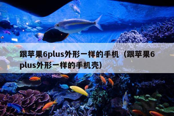 跟苹果6plus外形一样的手机（跟苹果6plus外形一样的手机壳）